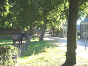 Noordlaren